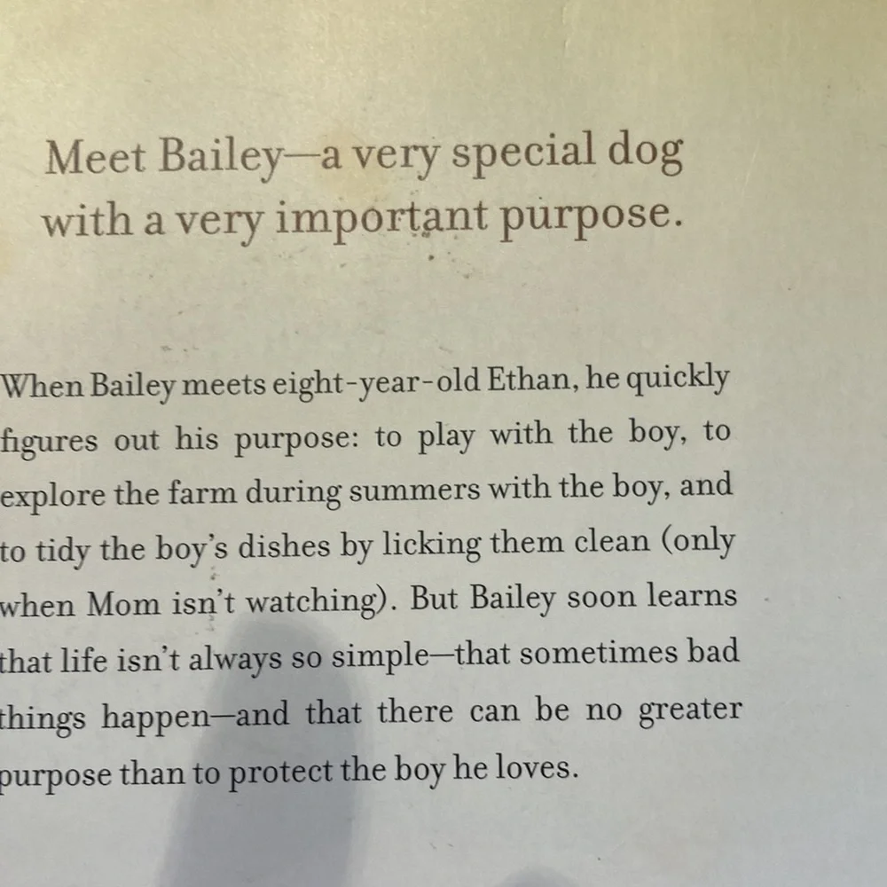 Baileys story, Molly story, racing in the rain set of 3 books